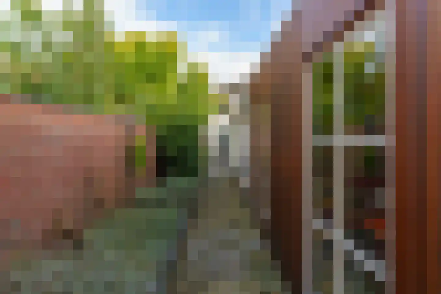 Bogardeind 78 A Geldrop thumbnail 46