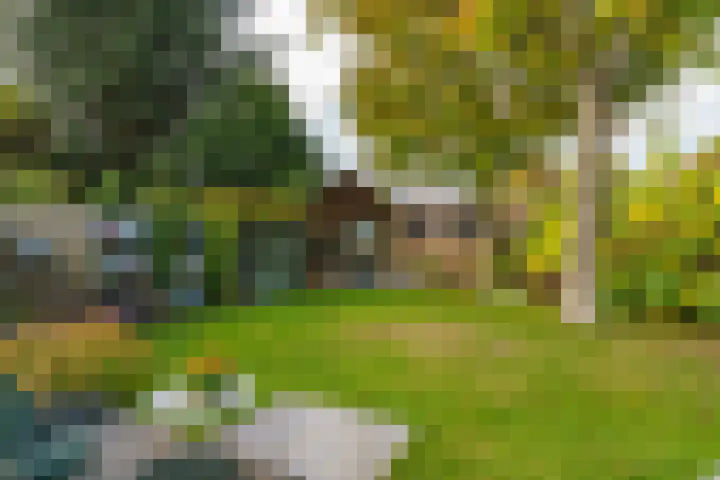 Bogardeind 78 A Geldrop thumbnail 49