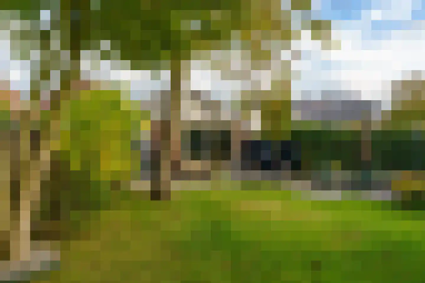 Bogardeind 78 A Geldrop thumbnail 51