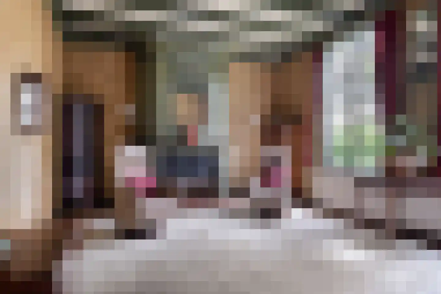 Bogardstraat 18 Middelburg thumbnail 19