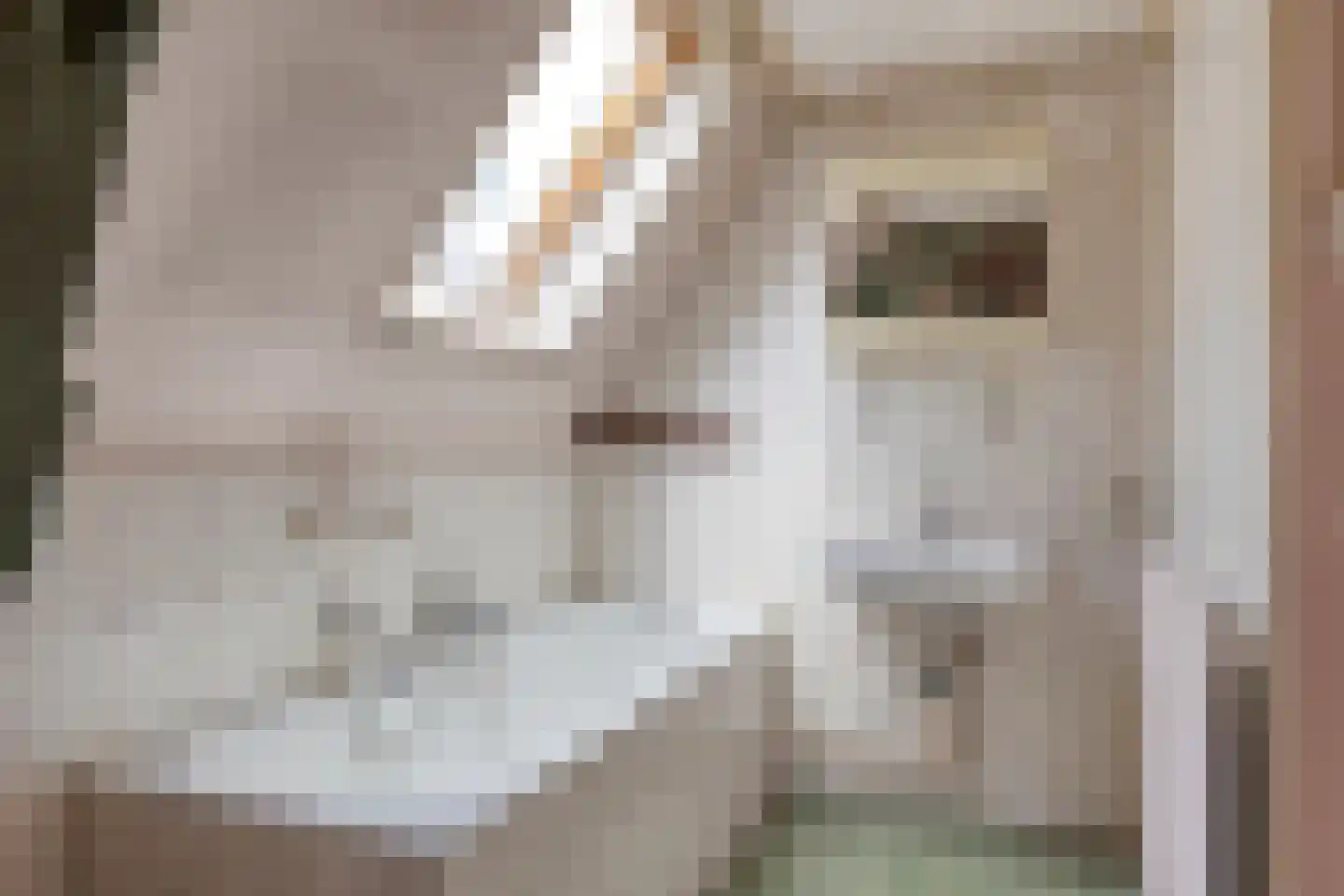 Bogardstraat 18 Middelburg thumbnail 36