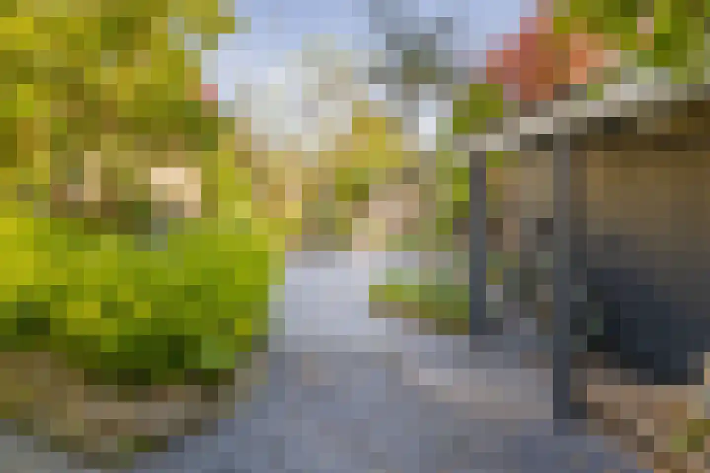 Bogardstraat 25 Middelburg thumbnail 30