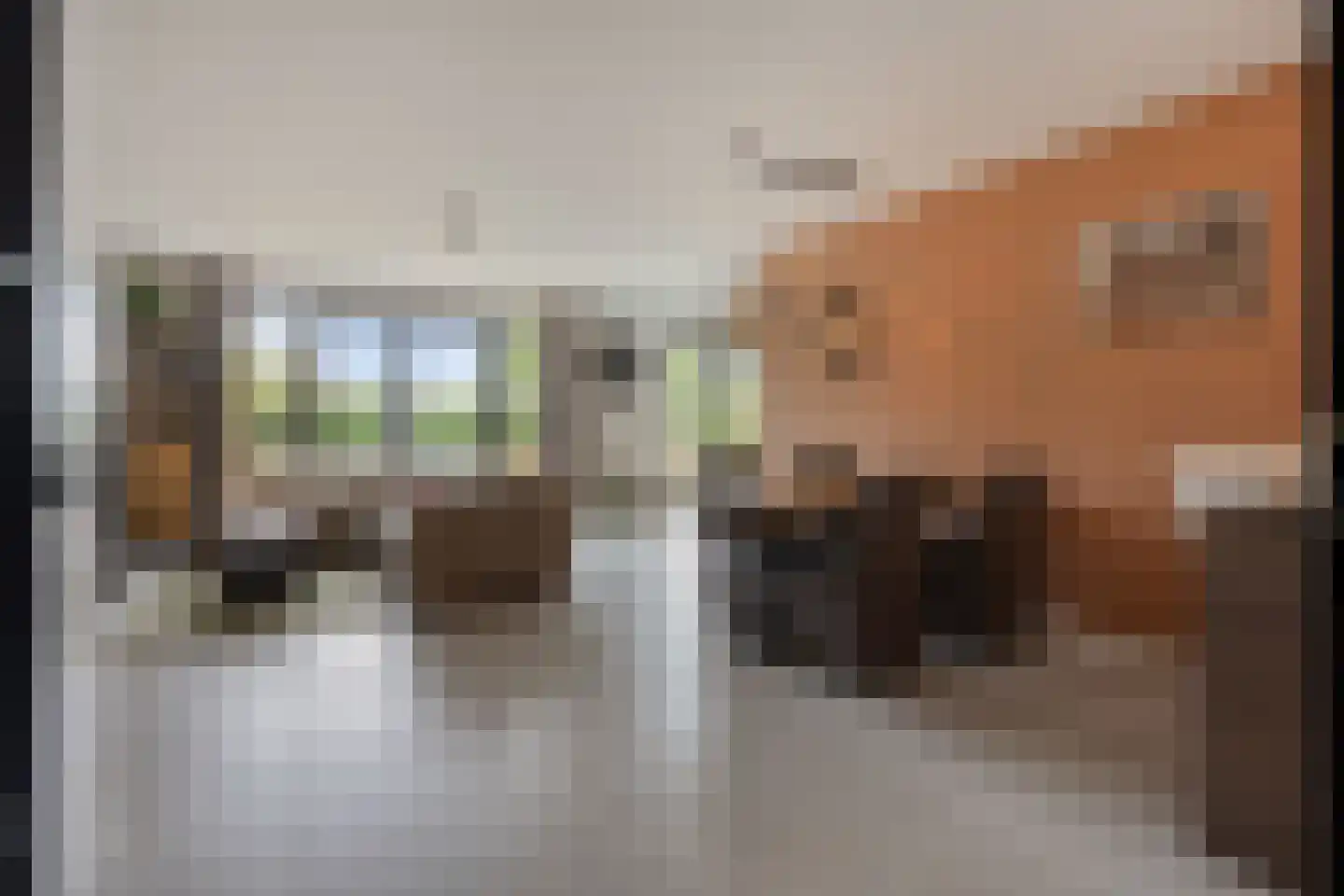 Bogartsakker 15 Veghel thumbnail 10
