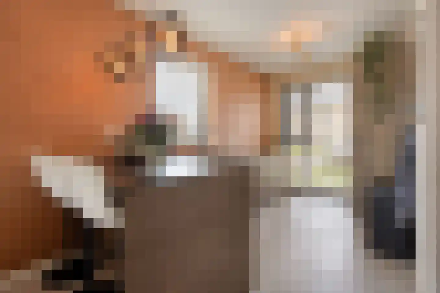 Bogartsakker 15 Veghel thumbnail 11