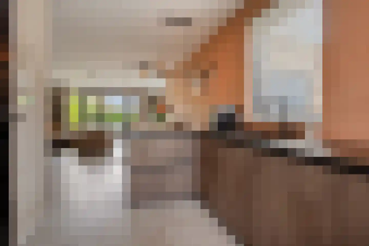 Bogartsakker 15 Veghel thumbnail 12