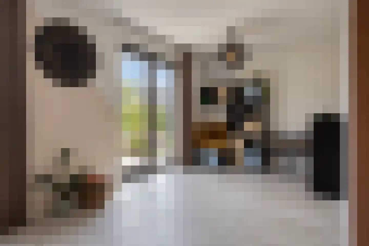 Bogartsakker 15 Veghel thumbnail 16