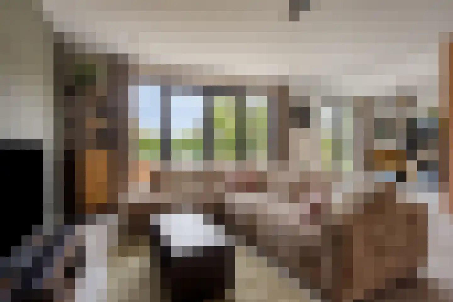 Bogartsakker 15 Veghel thumbnail 17