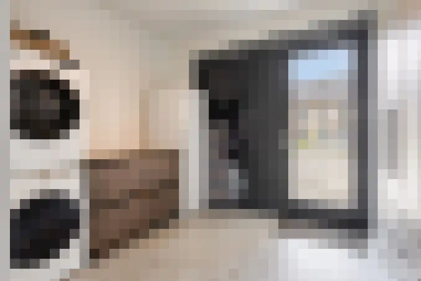 Bogartsakker 15 Veghel thumbnail 18