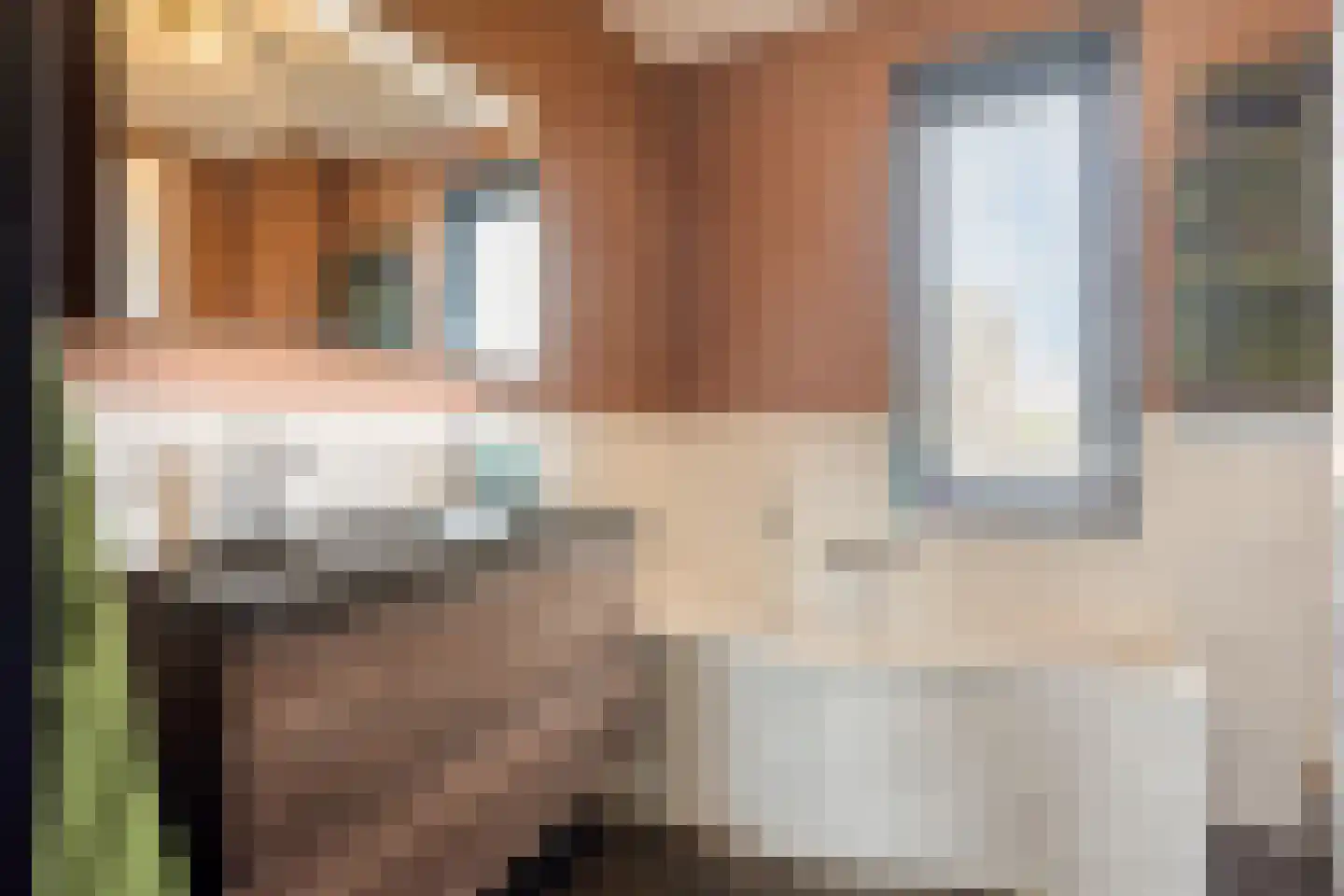 Bogartsakker 15 Veghel thumbnail 23