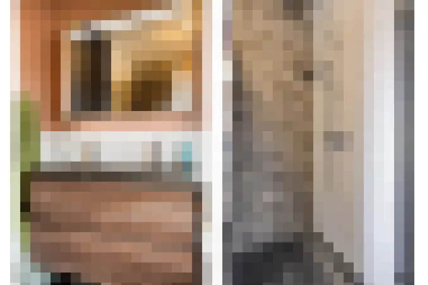 Bogartsakker 15 Veghel thumbnail 24
