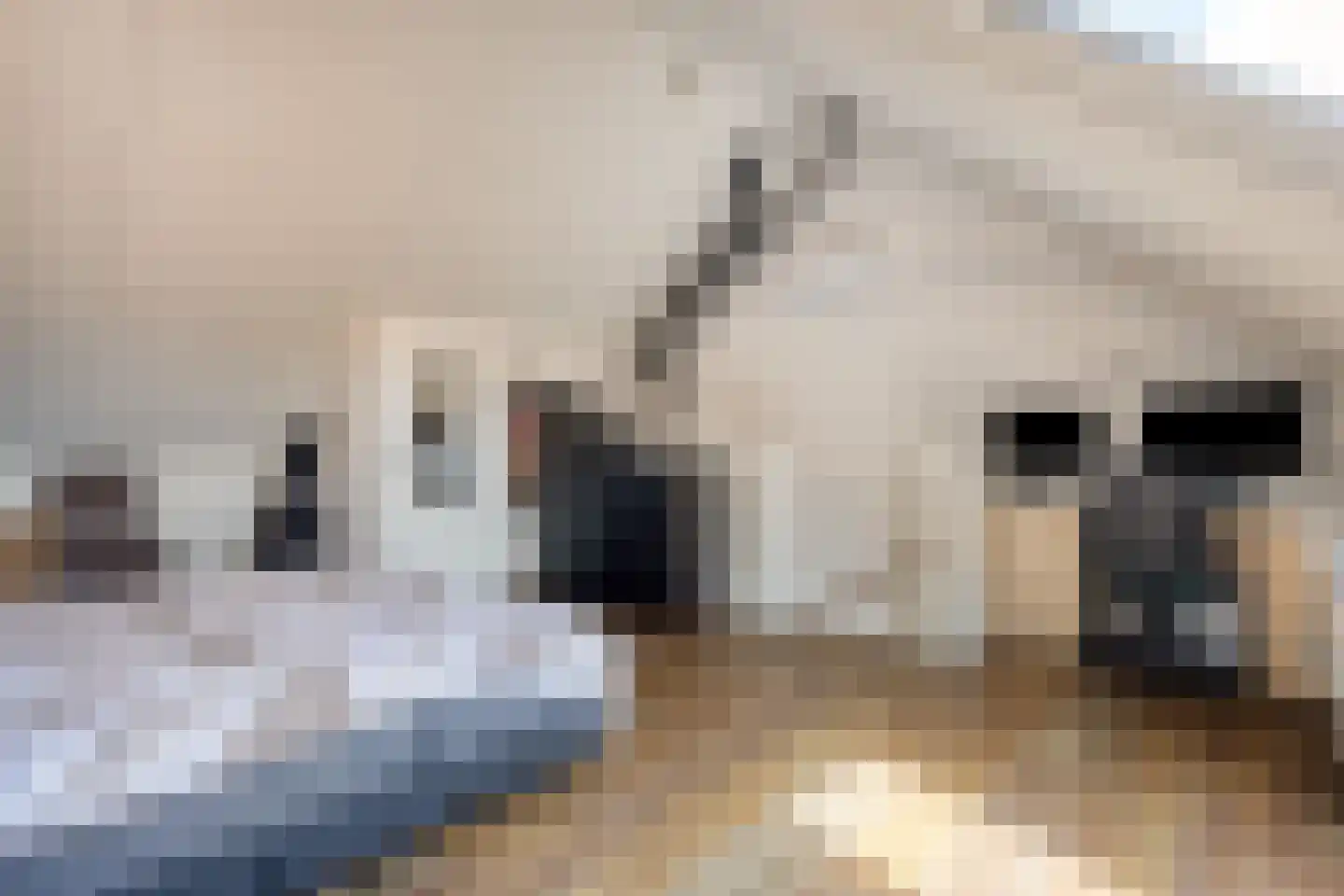 Bogartsakker 15 Veghel thumbnail 27