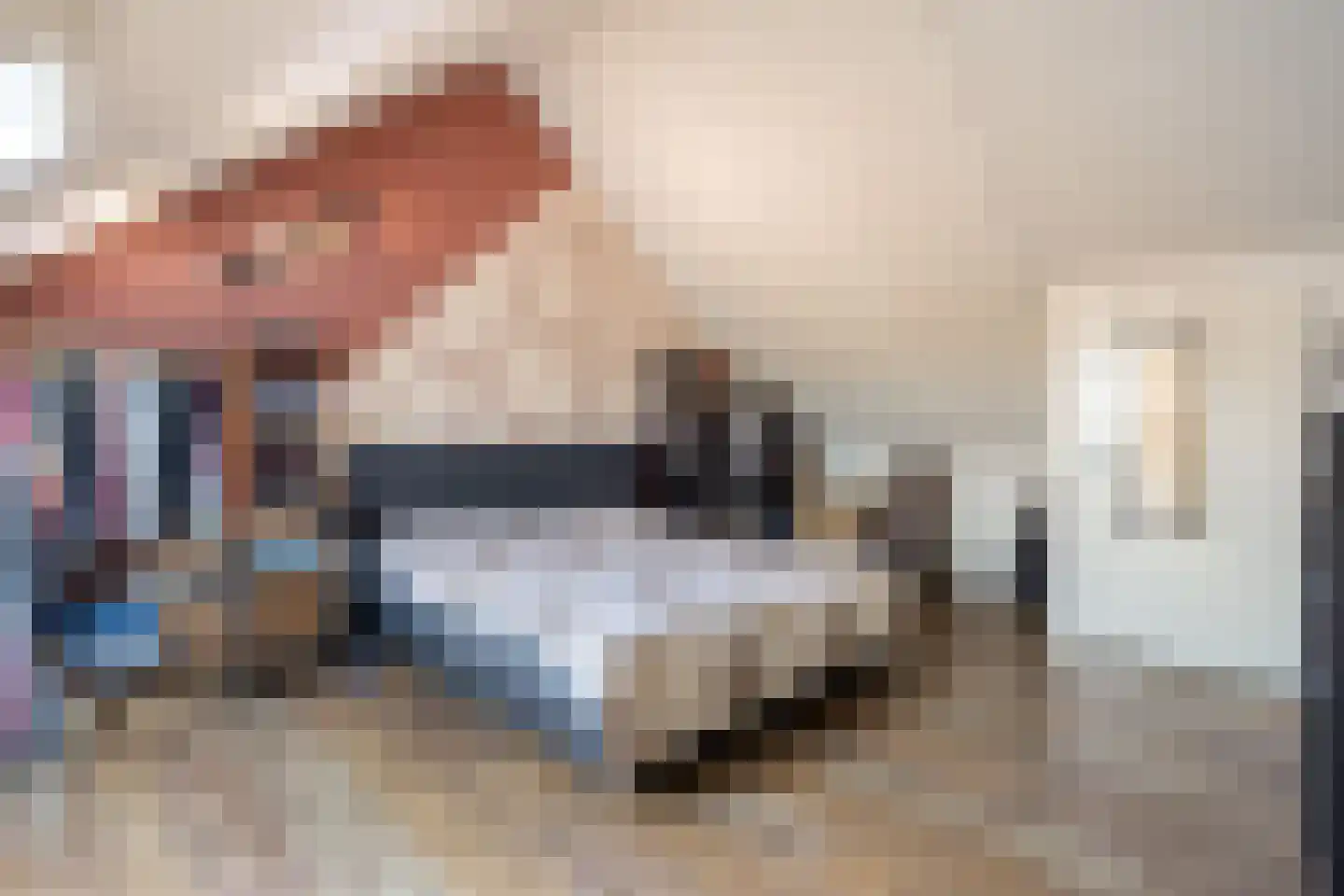 Bogartsakker 15 Veghel thumbnail 28