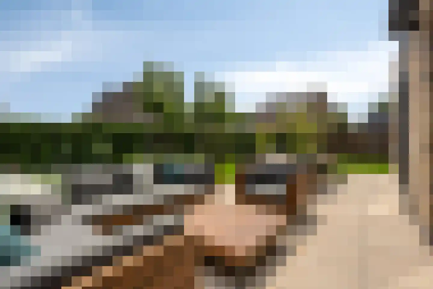 Bogartsakker 15 Veghel thumbnail 29