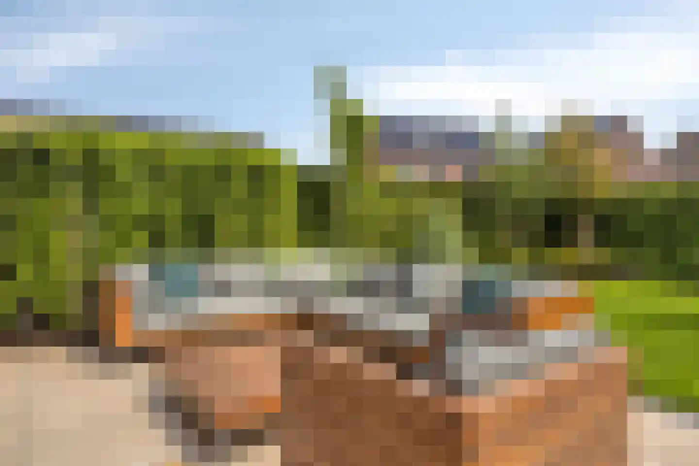 Bogartsakker 15 Veghel thumbnail 34