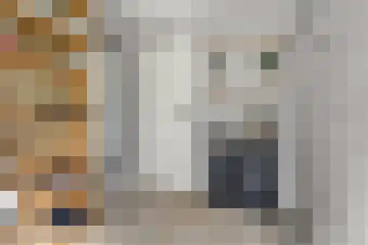 Bögelskamphoek 121 Enschede thumbnail 30