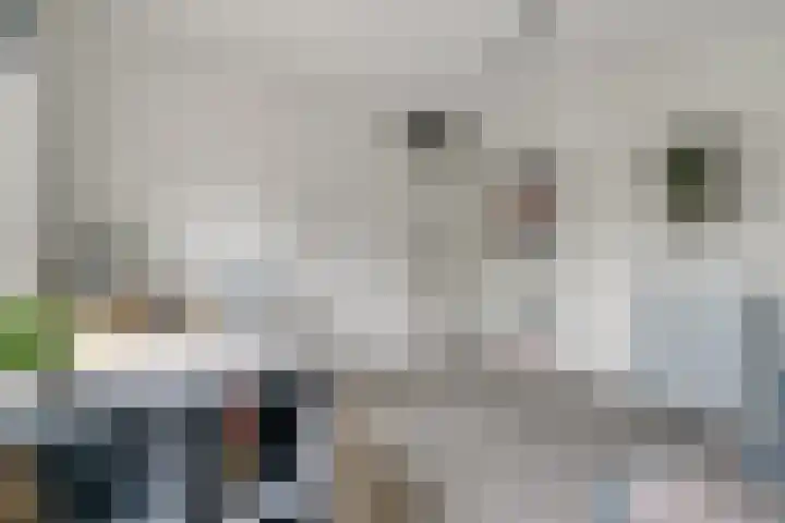 Bögelskamphoek 121 Enschede thumbnail 33