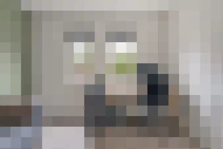 Bögelskamphoek 121 Enschede thumbnail 34