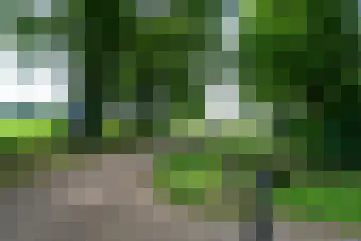 Bögelskamphoek 121 Enschede thumbnail 43
