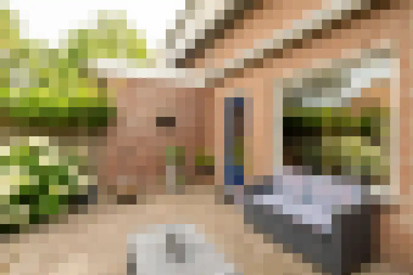 Bögelskamphoek 133 Enschede thumbnail 29