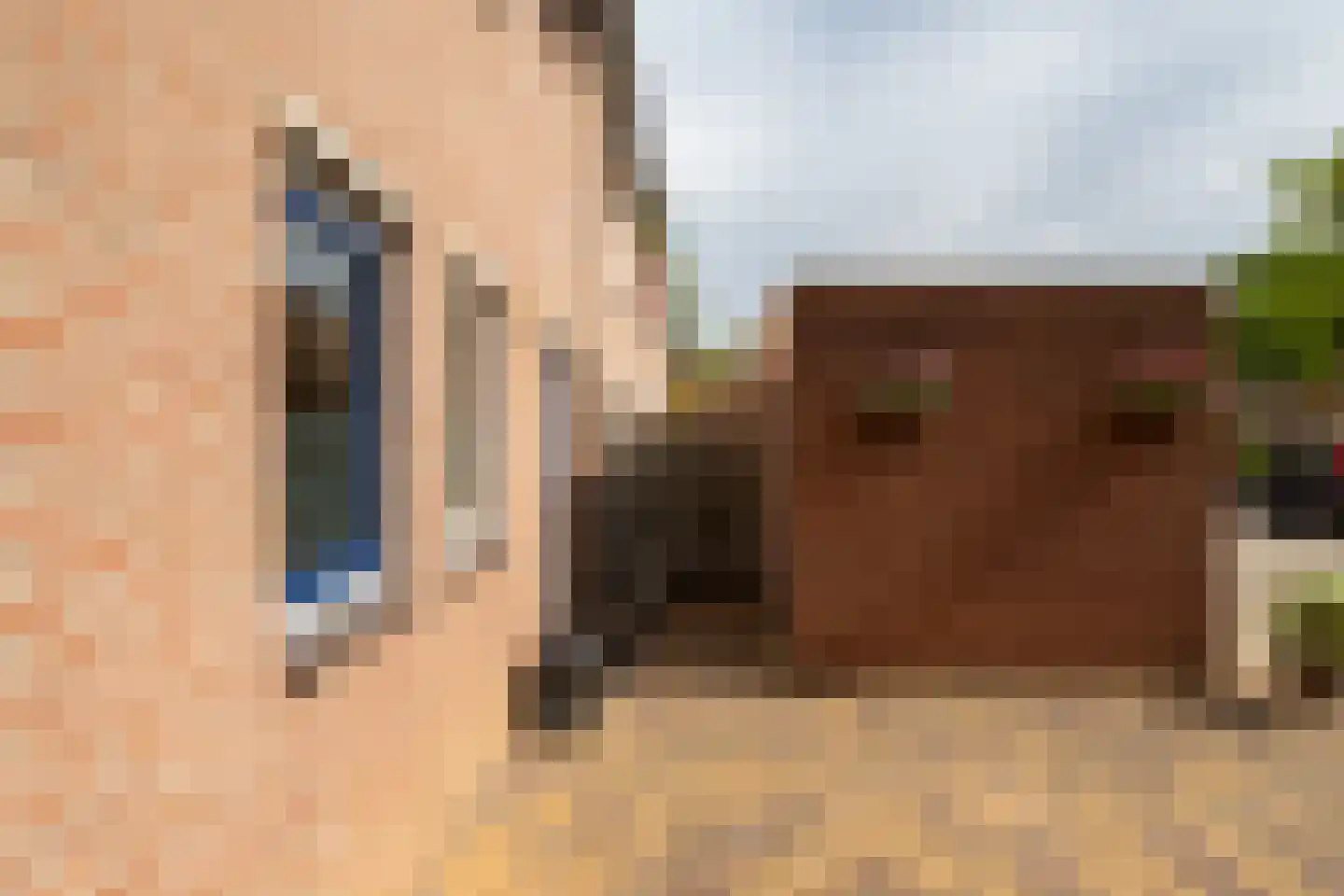 Bögelskamphoek 133 Enschede thumbnail 32
