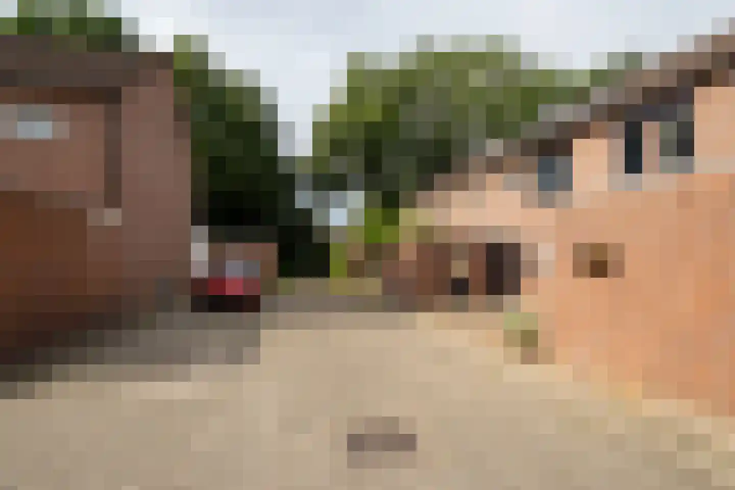 Bögelskamphoek 133 Enschede thumbnail 33