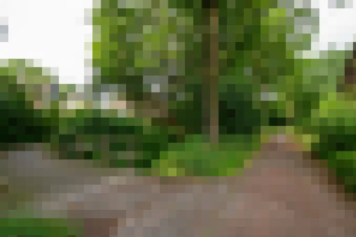 Bögelskamphoek 133 Enschede thumbnail 35