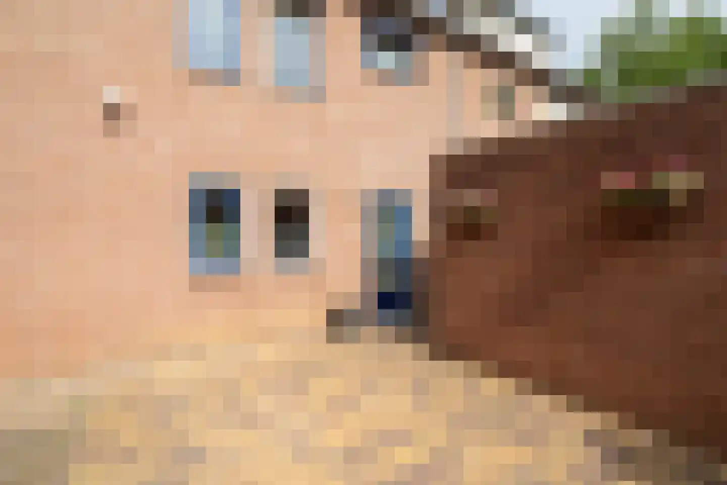 Bögelskamphoek 133 Enschede thumbnail 6