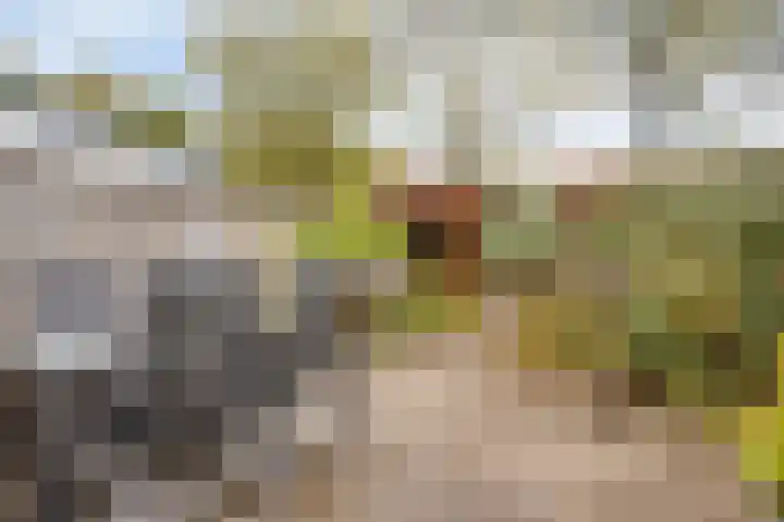 Bögelskamphoek 141 Enschede thumbnail 4