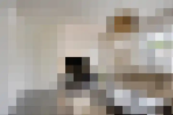 Bögelskamphoek 17 Enschede thumbnail 10