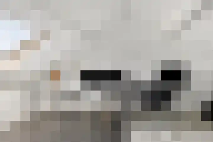 Bögelskamphoek 17 Enschede thumbnail 24