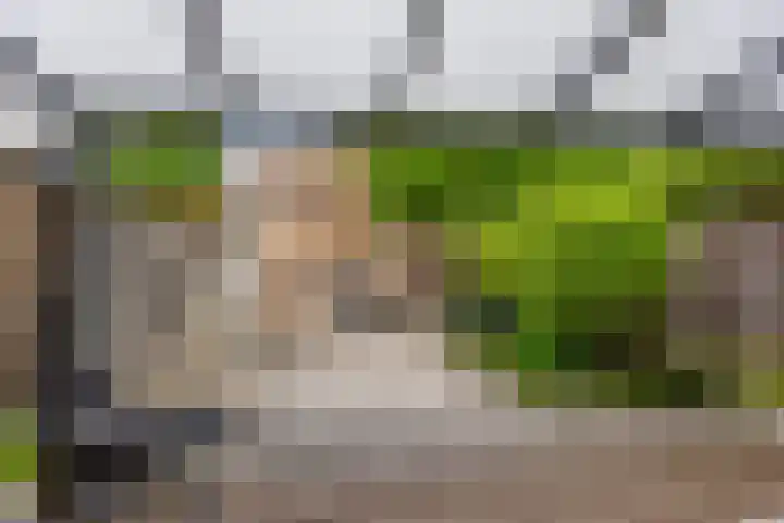 Bögelskamphoek 17 Enschede thumbnail 4