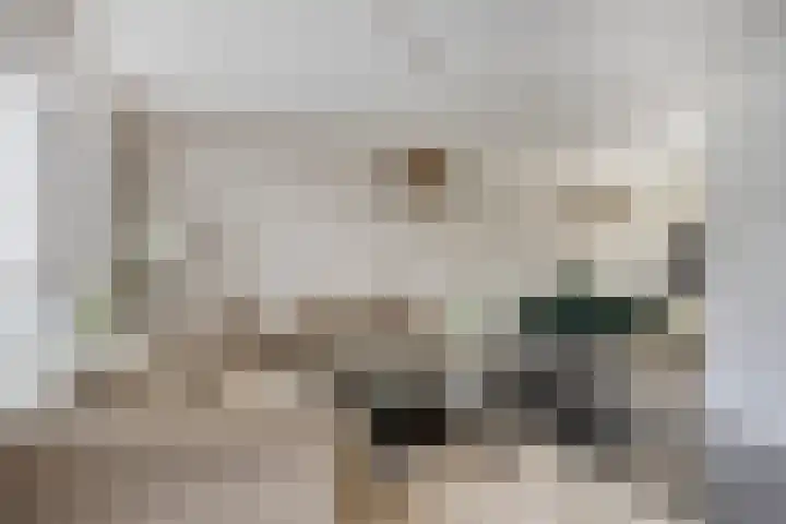Bögelskamphoek 17 Enschede thumbnail 7