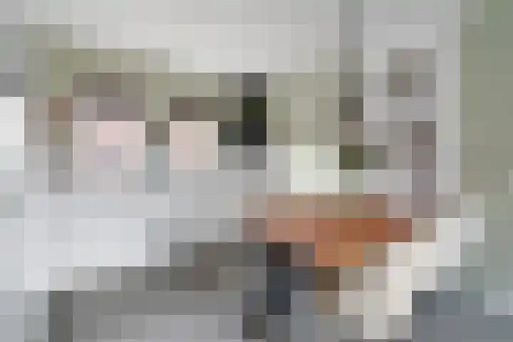 Bögelskamphoek 93 Enschede thumbnail 12