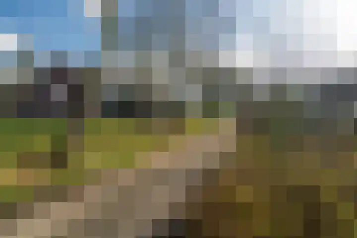 Bögelskamphoek 93 Enschede thumbnail 42