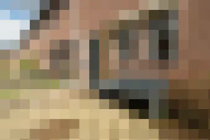 Bögelskamphoek 93 Enschede thumbnail 5
