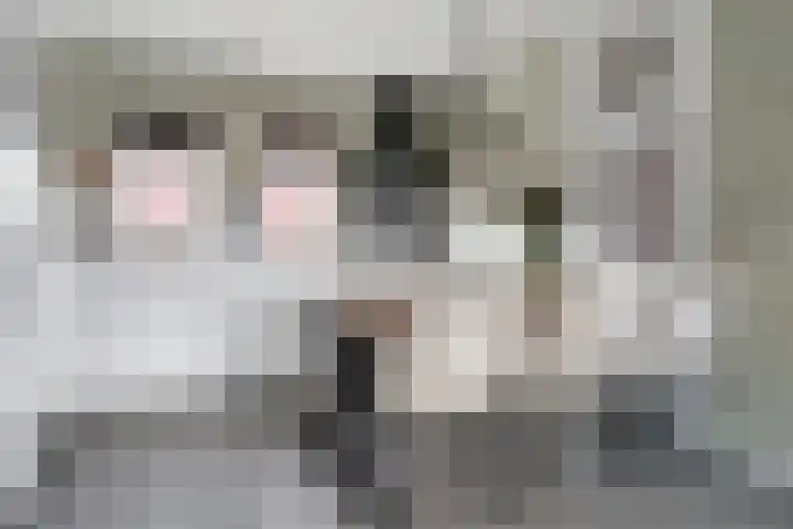 Bögelskamphoek 93 Enschede thumbnail 9