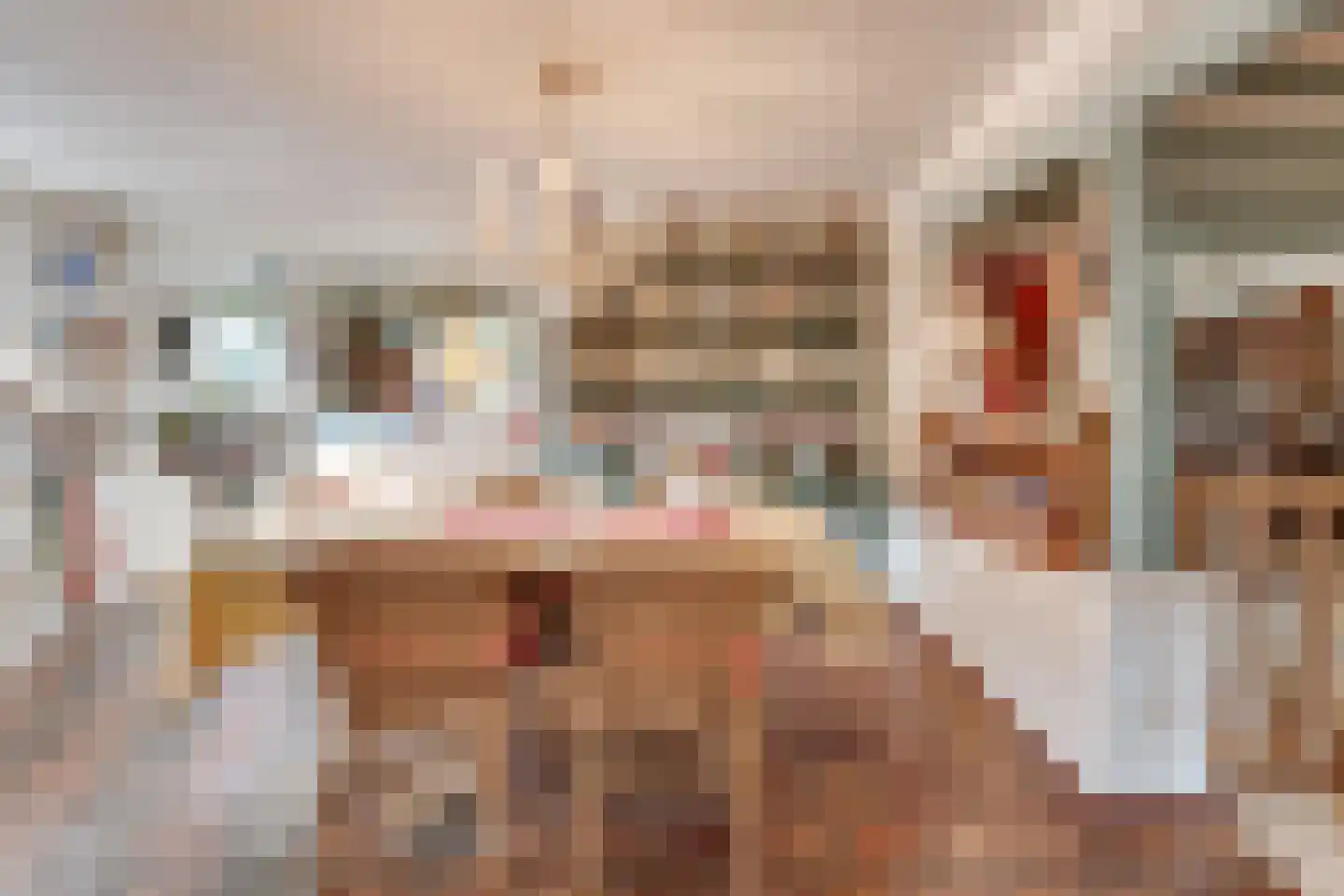 Bogenstraat 18 Thorn thumbnail 12