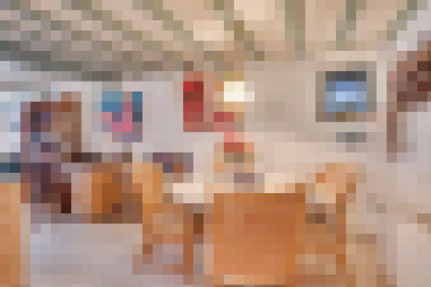 Bogenstraat 18 Thorn thumbnail 21