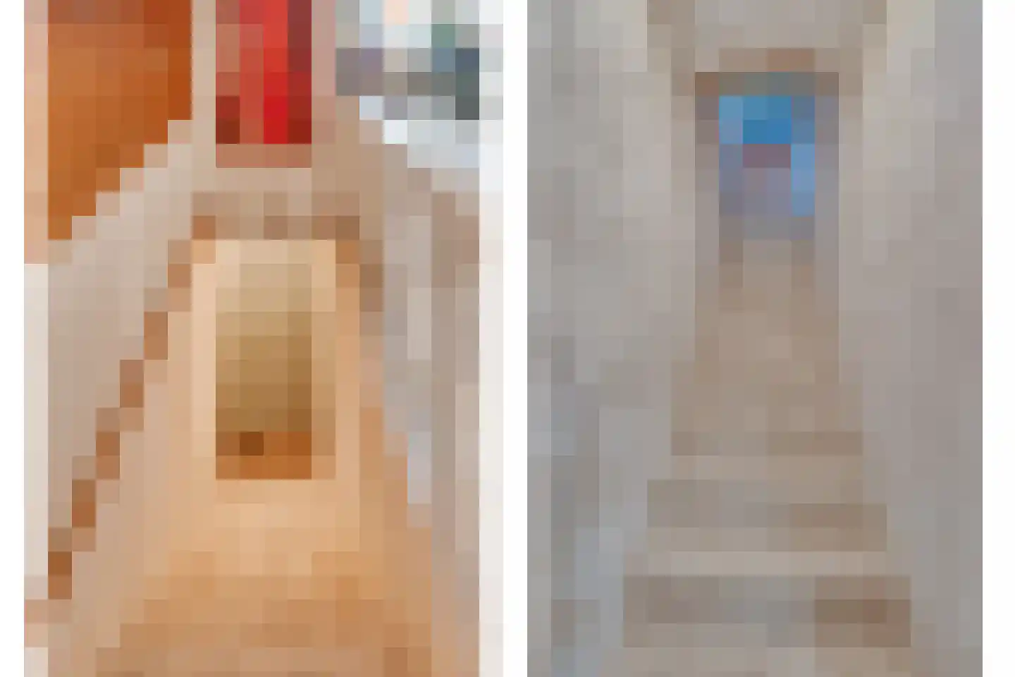 Bogenstraat 18 Thorn thumbnail 26