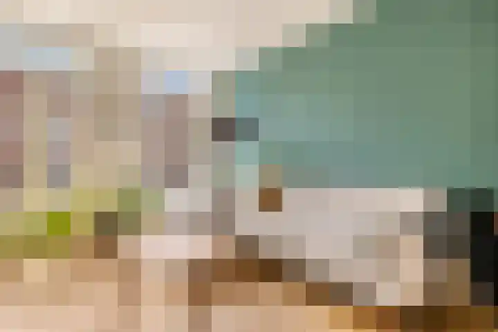 Bogenstraat 18 Thorn thumbnail 32