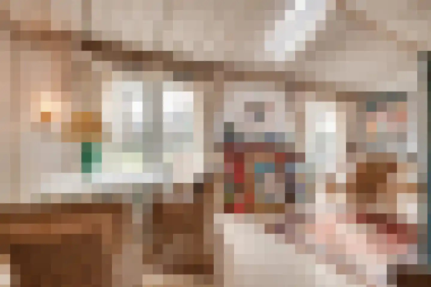 Bogenstraat 18 Thorn thumbnail 33