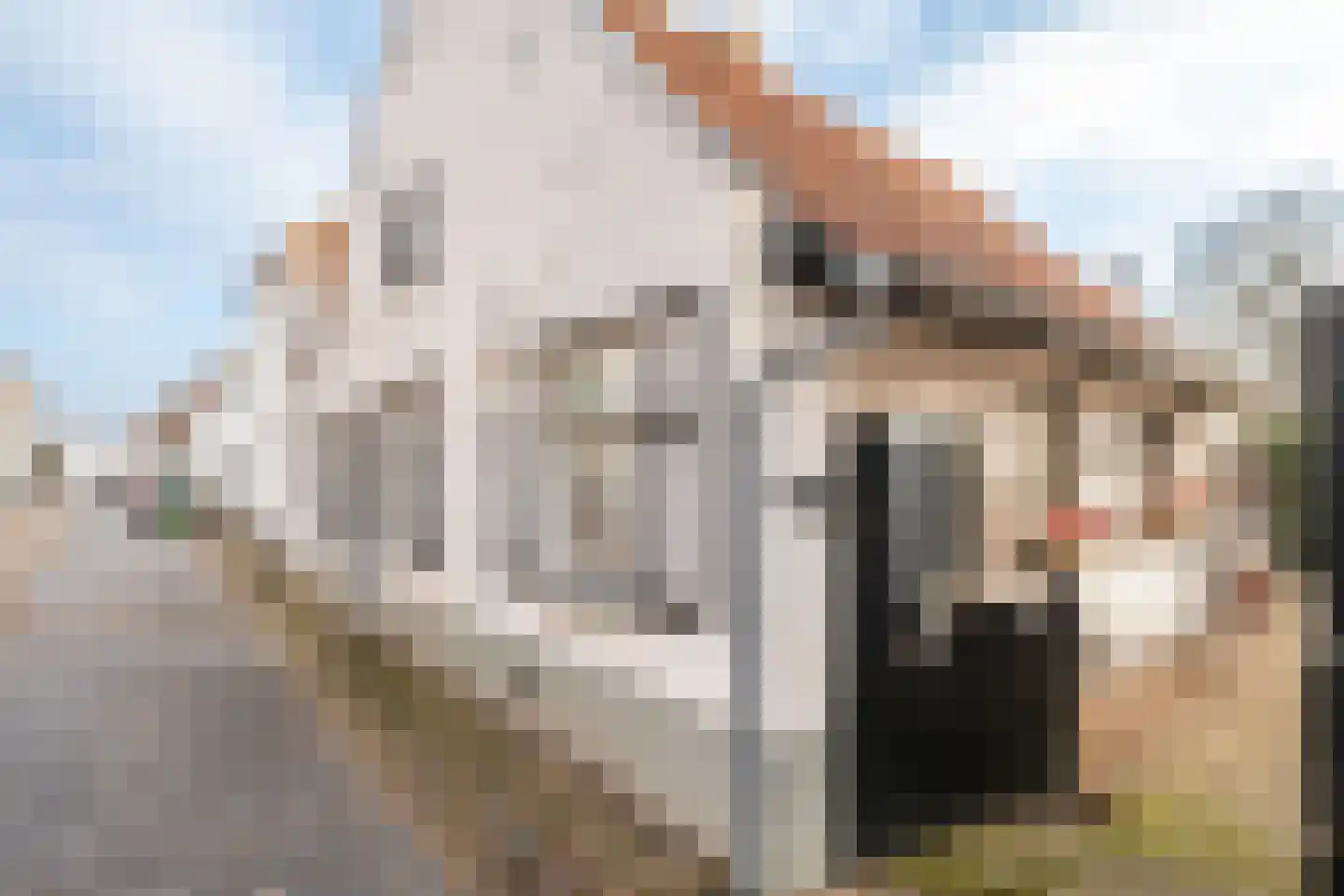 Bogenstraat 18 Thorn thumbnail 5