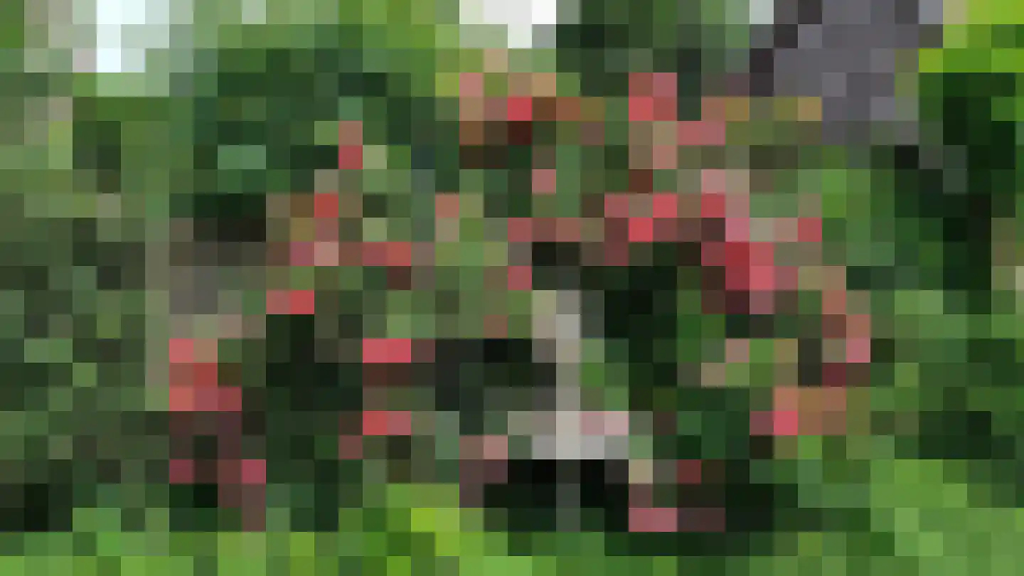 Bogenstraat 18 Thorn thumbnail 62