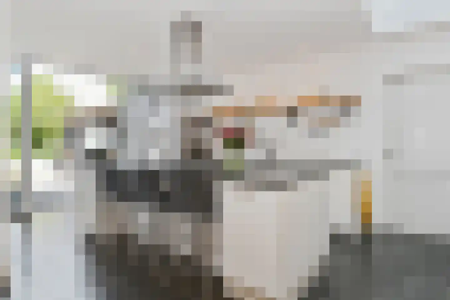 Bogenstraat 21 Thorn thumbnail 12