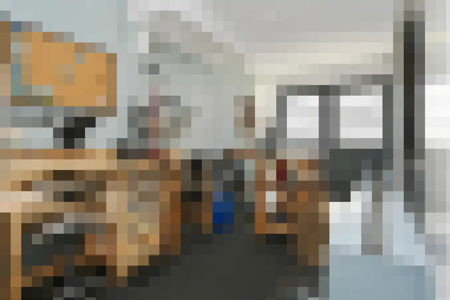 Bogenstraat 21 Thorn thumbnail 16