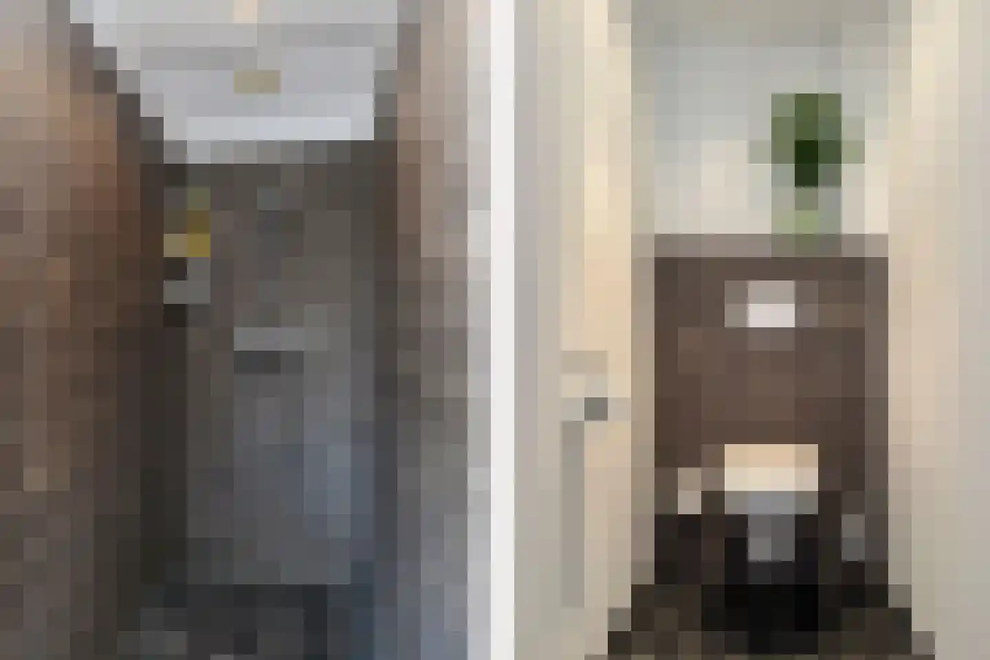 Bogenstraat 21 Thorn thumbnail 26