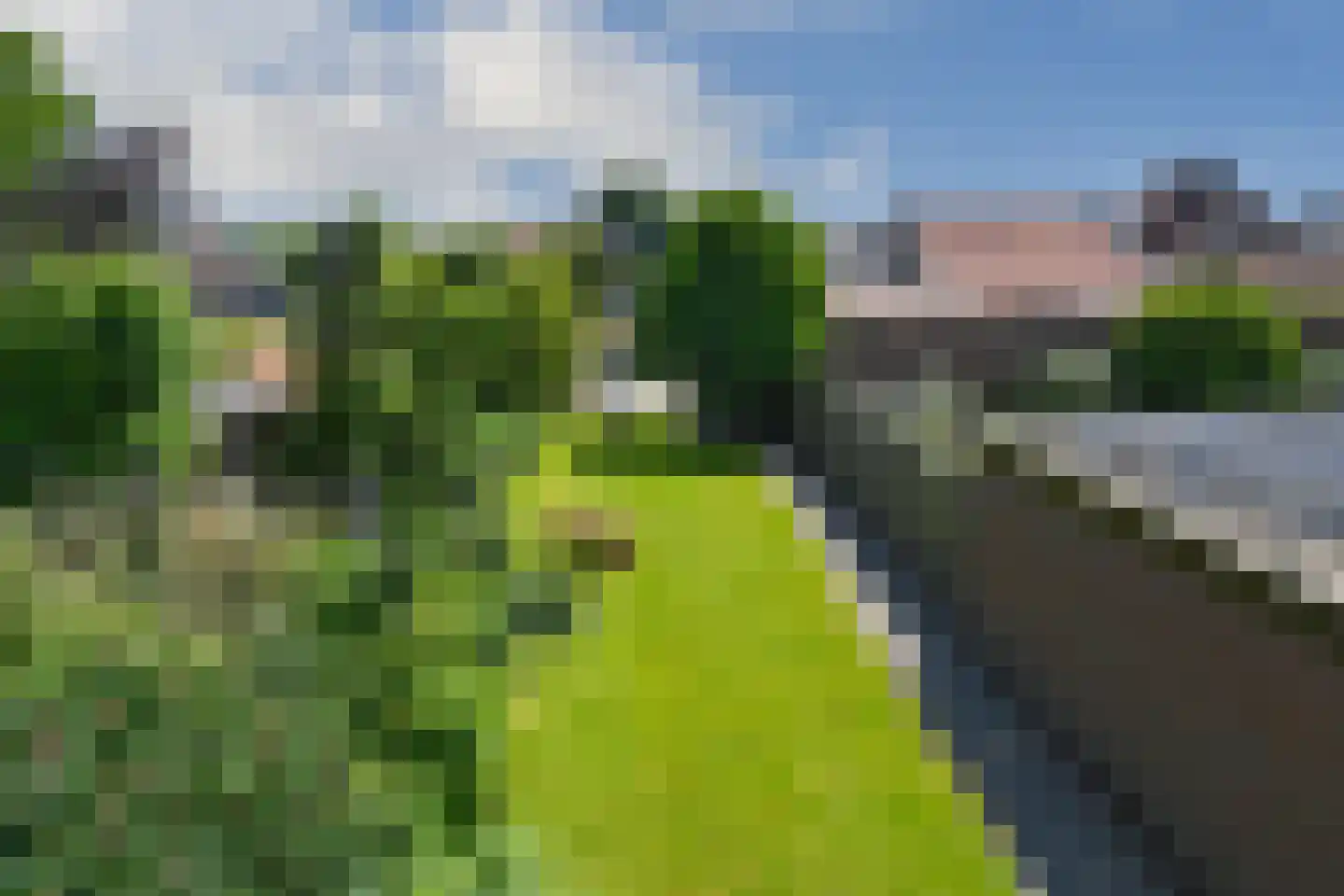 Bogenstraat 21 Thorn thumbnail 29
