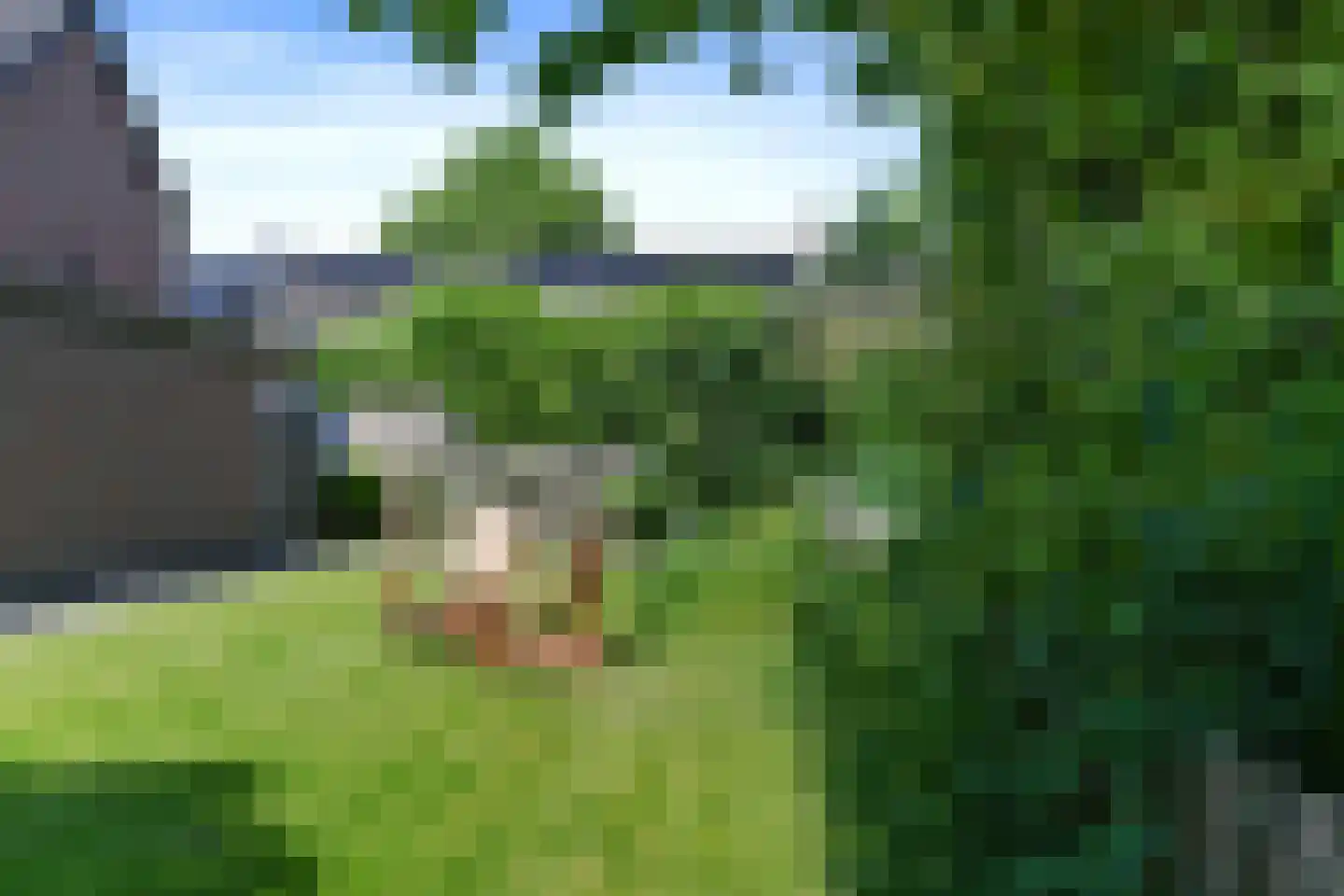 Bogenstraat 21 Thorn thumbnail 30
