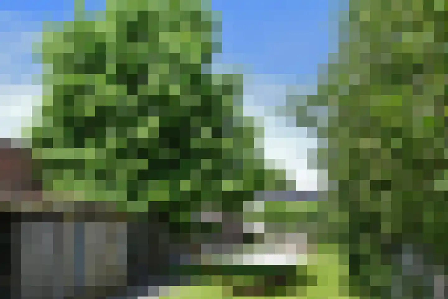 Bogenstraat 21 Thorn thumbnail 32