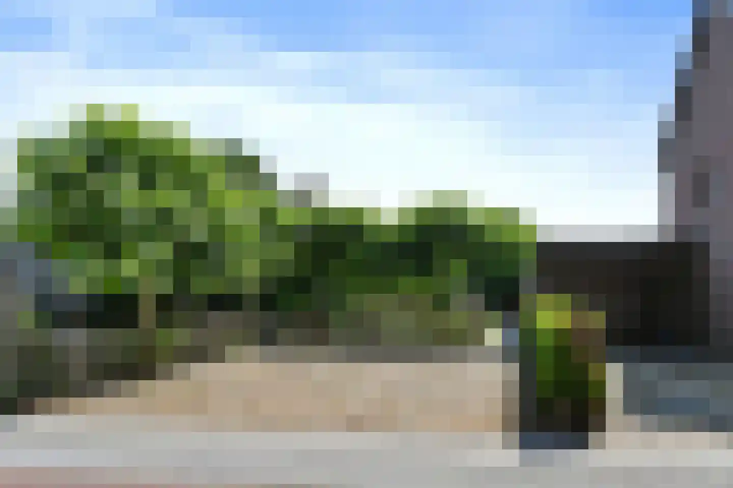 Bogenstraat 21 Thorn thumbnail 34